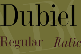 Dubiel Font Family