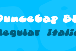 DunceCap BB Font Family