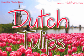 Dutch Tulips Font