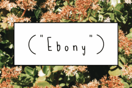 Ebony Font