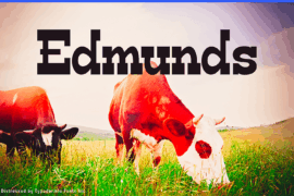 Edmunds Font Family