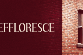 Effloresce Font Family