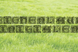 Eichenlaub Initialen Font