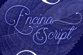 Encina Script 1 PERSONAL USE Font