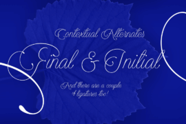 Encina Script 2 PERSONAL USE Font