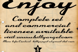 Enjoy Personal Use Font