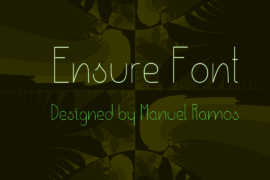Ensure Font Family