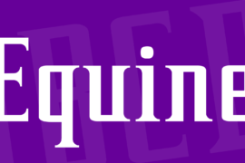 Equine Font