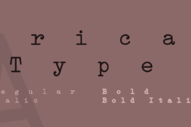 Erica Type Font Family