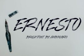ERNESTO Font