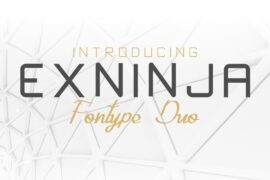 Exninja Demo Font Family