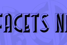 Facets NF Font