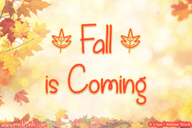Fall is Coming Font