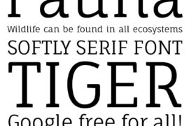 Fauna One Font