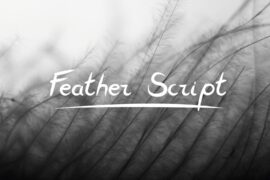 FeatherScript Font