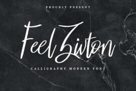 Feel Zivton Demo Font