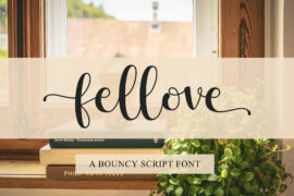 Fellove – Personal use Font