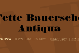 Fette Bauersche Antiqua Font Family