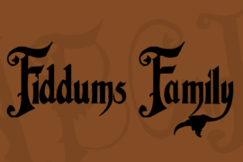 Fiddums Family Font