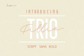 Fillia Script FREE Font