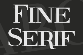 Fine Serif Font