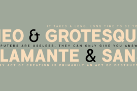 Flamante Sans Font Family