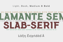 Flamante SemiSlab Font Family