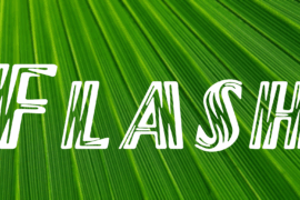 Flash Font
