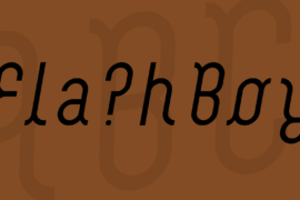 FlashBoy Font
