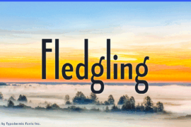 Fledgling Font