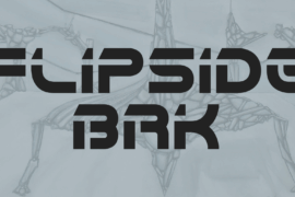 Flipside BRK Font