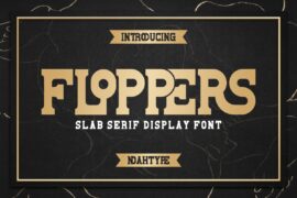 Floppers Demo Font