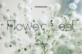 Flower Leaf Demo Font