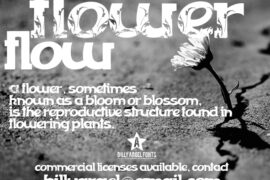 FLOWERFLOW Font