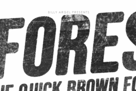 FORESTS ITALIC PERSONAL USE Font