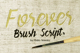 Forever Brush Script Font