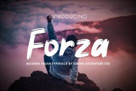 Forza Font