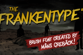 Frankentype Personal Use Only Font