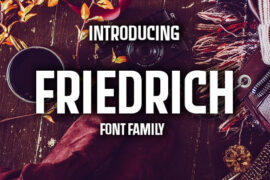 Friedrich Font Family
