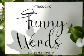 Funny Words Font