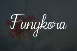 Funykora Font