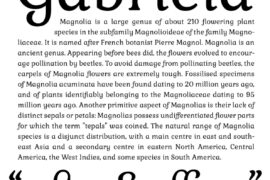 Gabriela Font