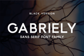 Gabriely Font