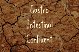 Gastro Intestinal Confluent Font