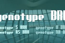 genotype BRK Font Family