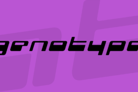 genotype Font
