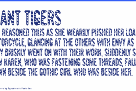 Giant Tigers Font Family
