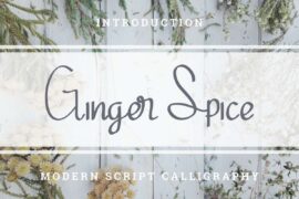 Ginger Spicedemo Font Family