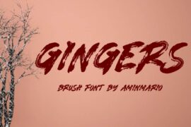 GINGERS Font