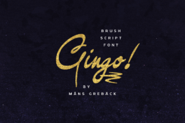 Gingo PERSONAL USE Font Family